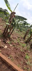 Land for Sale: Mperelwe Namere, 1.15 Acres - 2