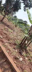 Land for Sale: Mperelwe Namere, 1.15 Acres - 4