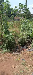 Land for Sale: Mperelwe Namere, 1.15 Acres - 5
