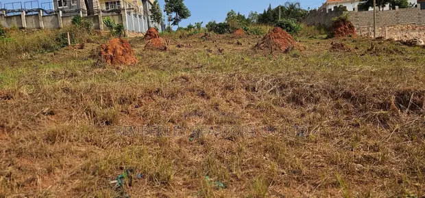 32 Decimals Land for Sale - Wamala via Akright Estate - 1