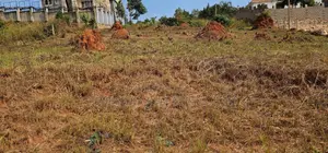 32 Decimals Land for Sale - Wamala via Akright Estate