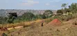 32 Decimals Land for Sale - Wamala via Akright Estate - 2