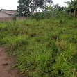 Matugga Kigogwa Land for Sale - 2