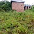 Matugga Kigogwa Land for Sale - 3