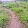 Matugga Kigogwa Land for Sale - 4