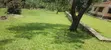 3-Bedroom Bungalow for Rent in Mbale City - 3