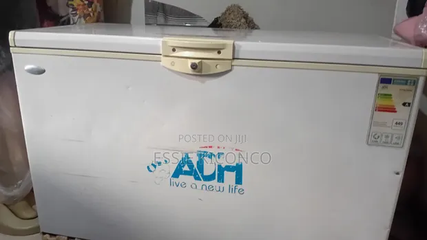 ADH 500 Litre Chest Freezer - 1