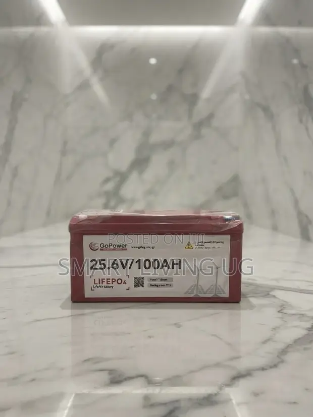 GoPower 25.6V 100AH Lithium Iron Phosphate Battery - 1