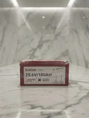 GoPower 25.6V 100AH Lithium Iron Phosphate Battery