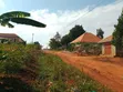 Plot for Sale in Matugga Kavule, 100x100 - 5