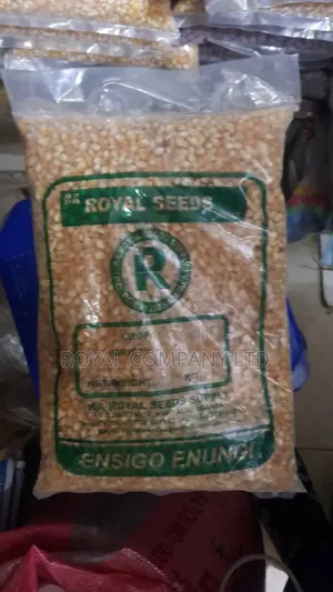 Popcorn Seeds - 2kg Pack