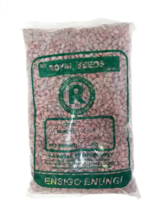 Royal Seeds Supply Red Groundnut Seeds (2kg) - 1