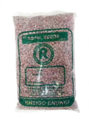 Royal Seeds Supply Red Groundnut Seeds (2kg)