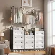 Multipurpose Clothes and Shoes Cabinet - 1