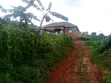 4-Bedroom Bungalow for Sale in Jomayi Estate, Mukono - 2