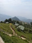 Eco-Lodge for Sale, Rushaga Kisoro - 5