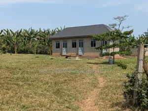 40-Acre Farm with Farmhouse and Dam, Nakaseke