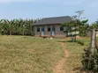 40-Acre Farm with Farmhouse and Dam, Nakaseke - 1