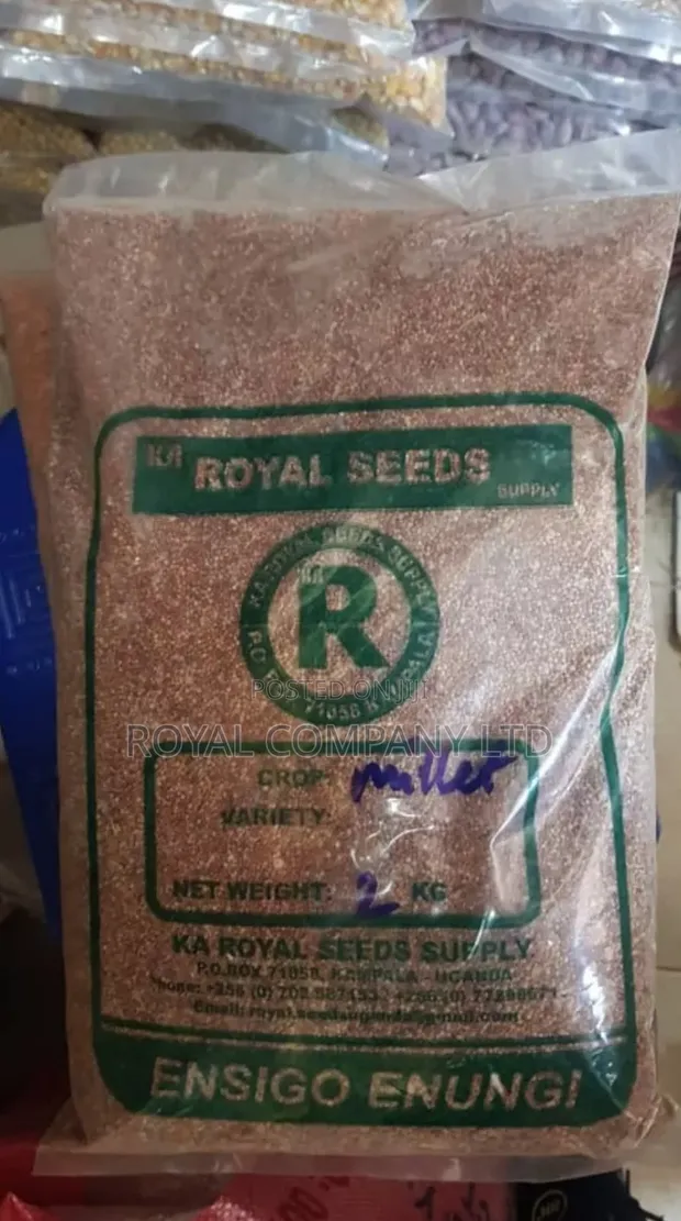 Millet Seeds 2kg - Royal Seeds - 1