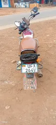 Bajaj Boxer 100 2024 Red - 4