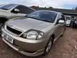 Toyota Allex 2006 Gold - 5