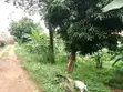 100x50 Plot for Sale in Naalya - 1