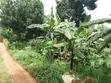 100x50 Plot for Sale in Naalya - 3