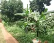 100x50 Plot for Sale in Naalya - 5