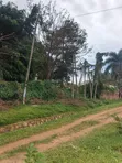 31 Decimals Commercial Land for Sale, Ntinda Nakawa Road - 3