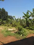 Residential Land for Sale - Naminya Town, Buikwe District - 2
