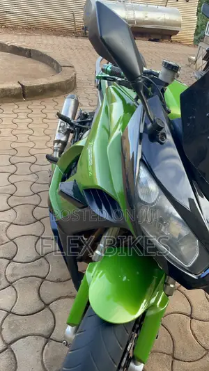 Kawasaki Ninja 1000SX 2014 Green