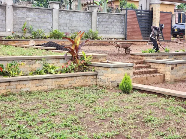 Professional Landscaping & Outdoor Services - 1