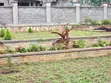 Professional Landscaping & Outdoor Services - 2