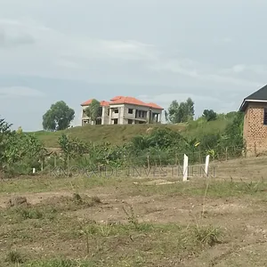 Land for Sale: 100x50ft in Bukalango, Kakiri (35M UGX)