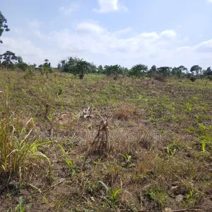 4 Acres Land for Sale in Katikamu, Luwero