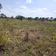 4 Acres Land for Sale in Katikamu, Luwero - 1