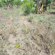 4 Acres Land for Sale in Katikamu, Luwero - 2