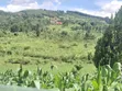 4 Acres Land for Sale in Katikamu, Luwero - 3