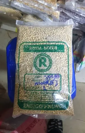 Soya Seeds - 2kg Pack
