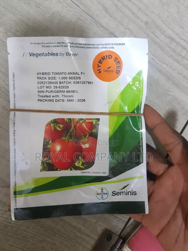 Ansar F1 Hybrid Tomato Seeds (1000 Seeds) - 1