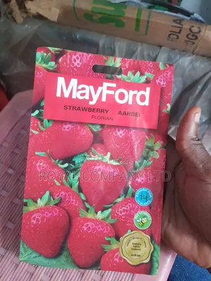 Strawberry Seeds - Florian Variety