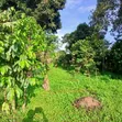 Plot for Sale with Title in Kakiri - 3
