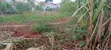 Kulambiro Tuba Land with Titles - 2