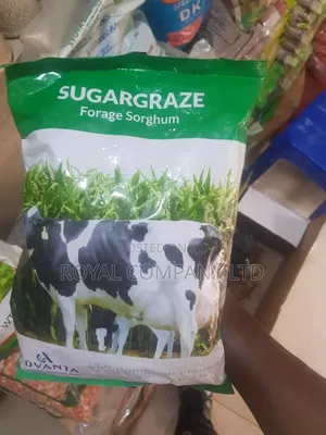 Advanta Sugargraze Forage Sorghum Seeds 1kg