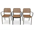 Rattan Cane and Plastic Mesh Back Chairs - 2