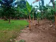 5 Bedroom House for Sale in Matugga, Kanyanda - 5