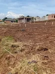 New Estate Plots for Sale in Bukemba Magigye Kizawula - 3