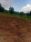New Estate Plots for Sale in Bukemba Magigye Kizawula - 4