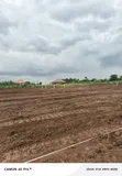 New Estate Plots for Sale in Bukemba Magigye Kizawula - 5