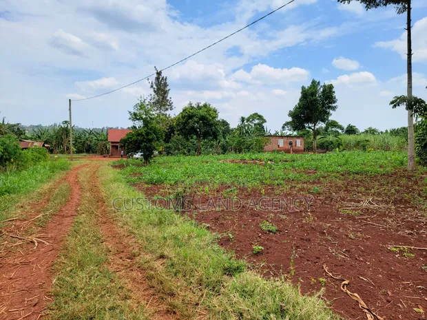 113ft x 160ft Plot for Sale in Kabowa-Kampala, Jinja City - 1
